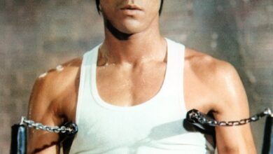 Valeur nette de Bruce Lee |  Valeur nette des célébrités