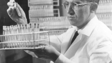 Valeur nette de Jonas Salk |  Valeur nette des célébrités
