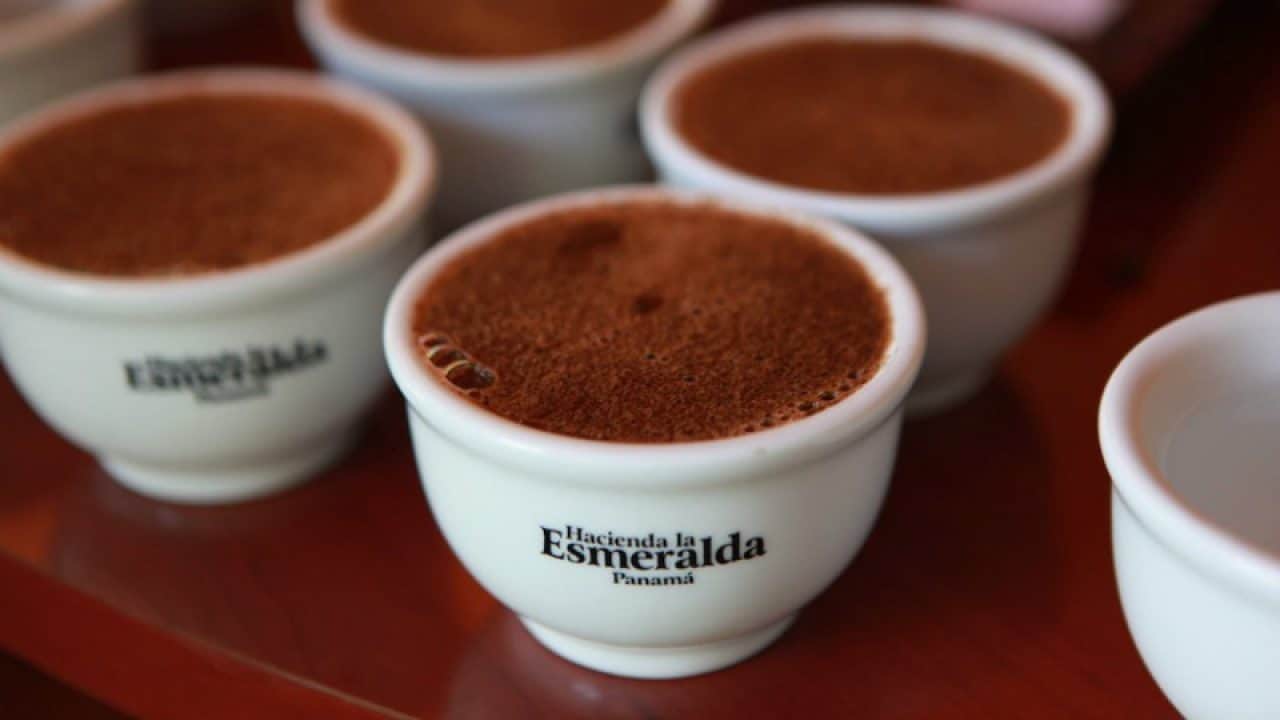 Cafés les plus chers - Hacienda La Esmeralda