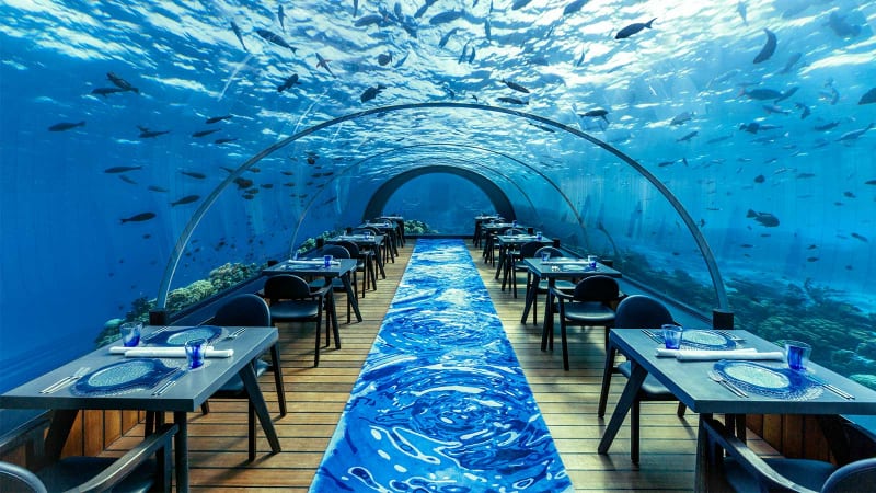 Restaurants les plus chers - Ithaa Undersea - Maldives